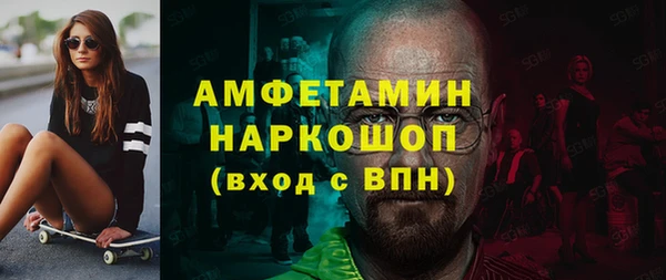 гидра Горняк