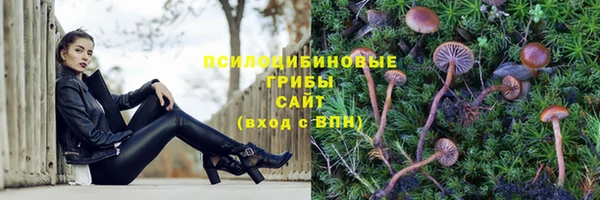 крисы Горно-Алтайск