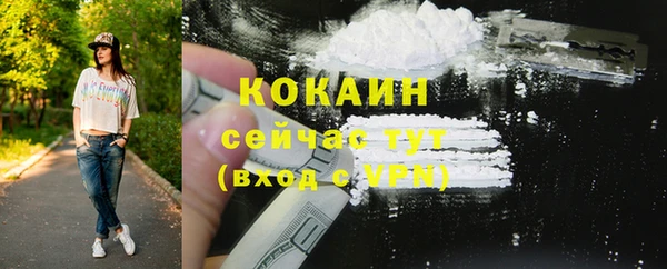 гидра Горняк