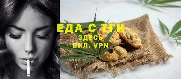 гидра Горняк