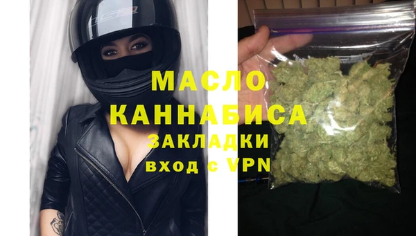 гидра Горняк